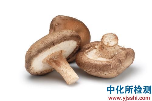 香菇检测