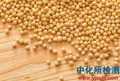 大豆检测