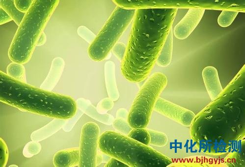 膳食纤维检测