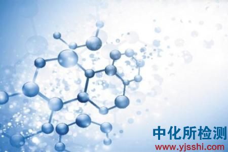 蛋白质检测