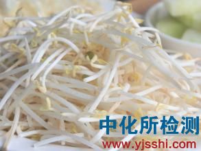 豆芽检测
