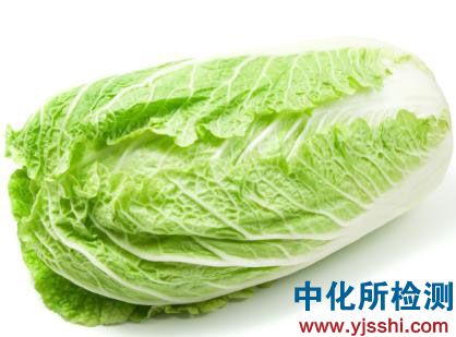 白菜检测
