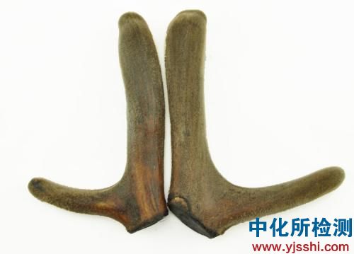 鹿茸检测